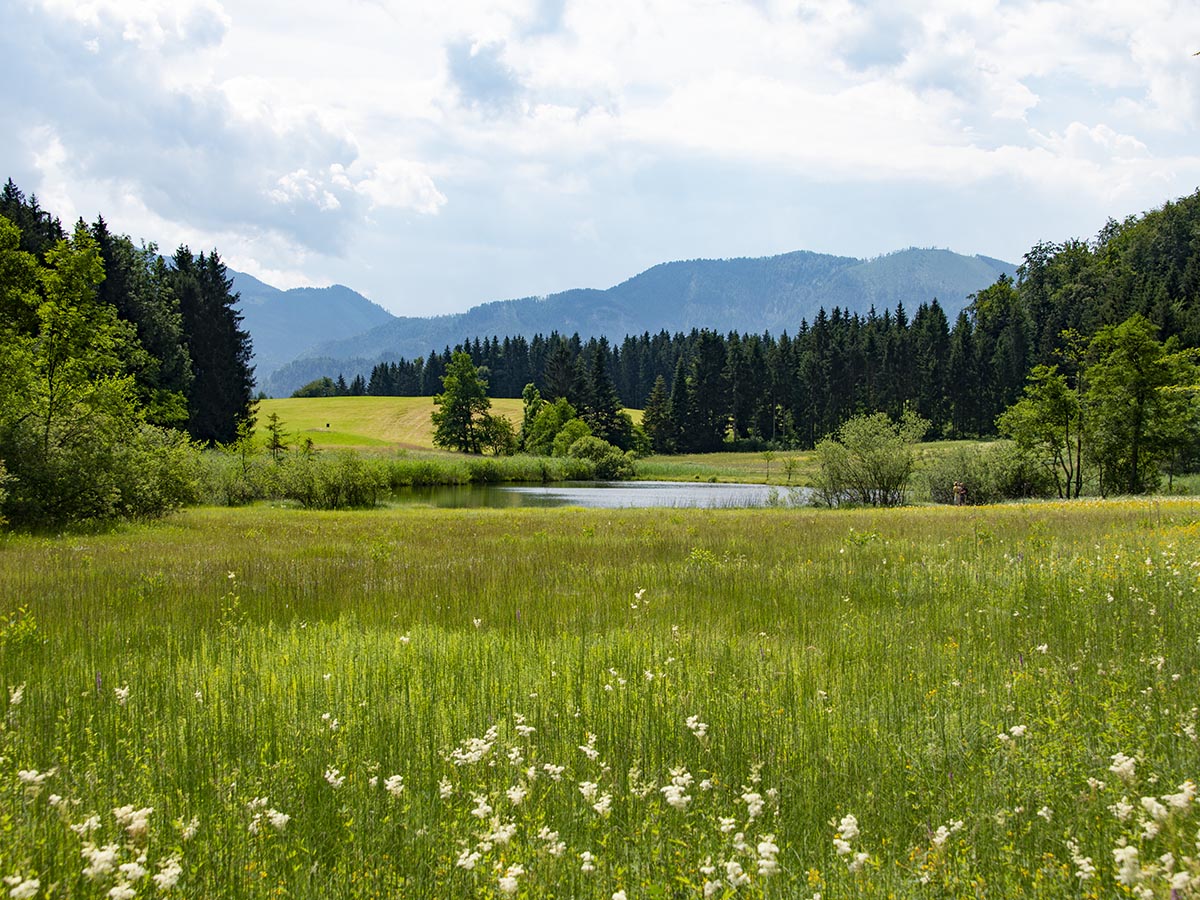 Blick nach Süden